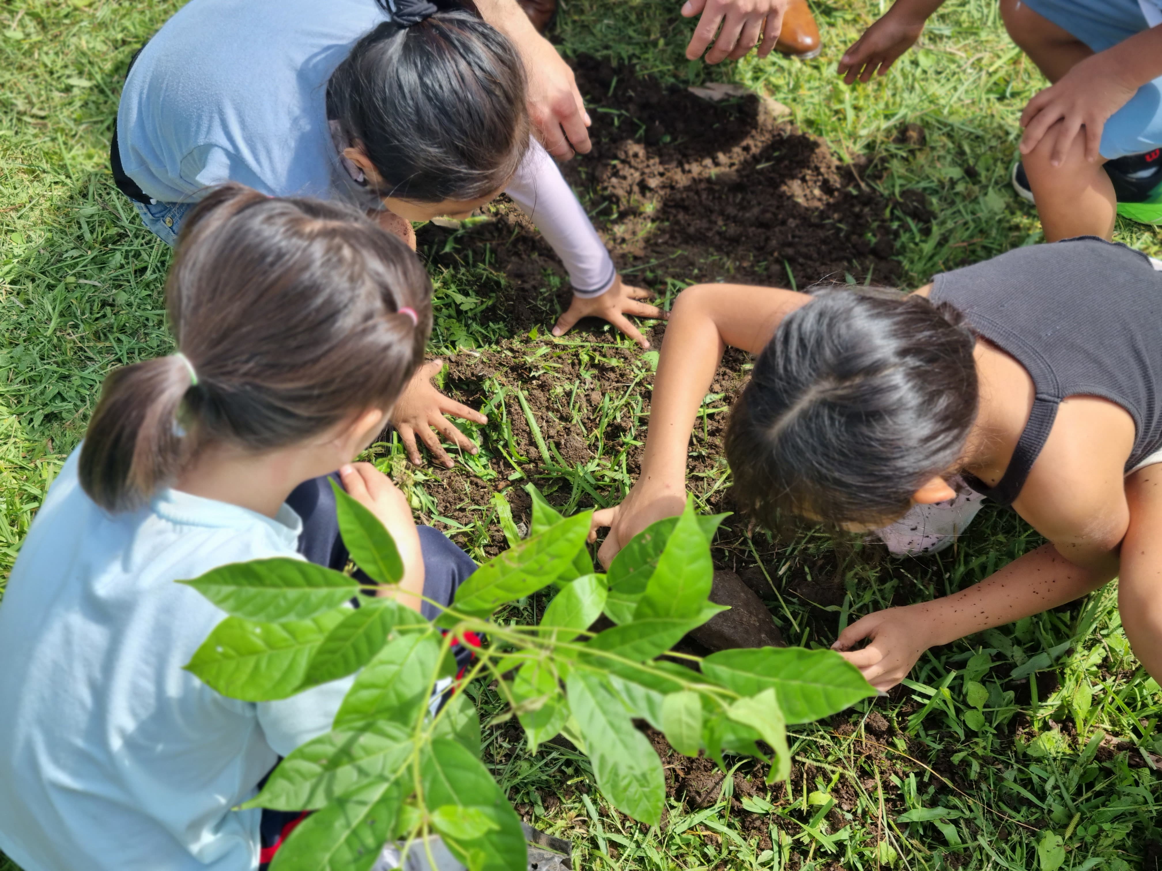 Sembremos Vida, Cosechemos Agua