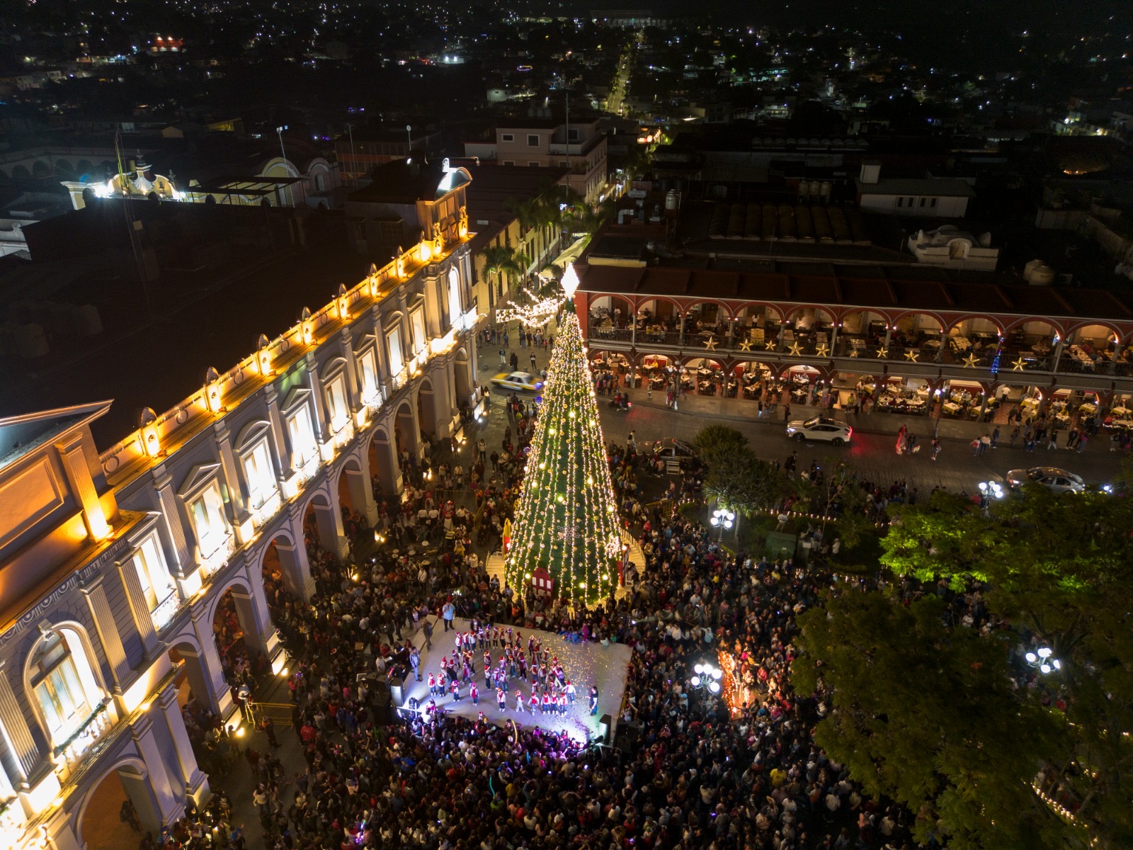 ¡Encendido del Pino Navideño!